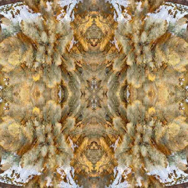 DJI 0665 Abstract fall